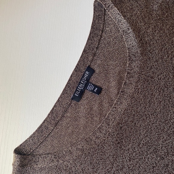 Eileen Fisher Sheer Bronze Metallic Relaxed Fit Oversized Size PM - Picture 6 of 11